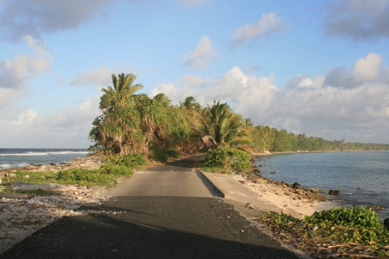 A coastal road flanked by palm trees bending towards the ocean on one side, with a clear blue sky and scattered clouds above.