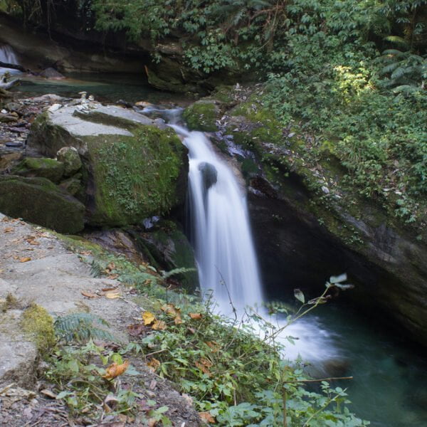 A serene waterfall cascades into a tranquil emerald pool surrounded by lush greenery and moss-covered rocks.