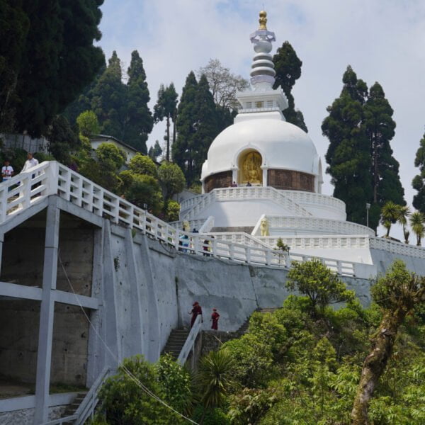 A white Buddhist stupa with ornate gold detailing nestled among lush greenery on a hillside, with visitors ascending a staircase to the site.