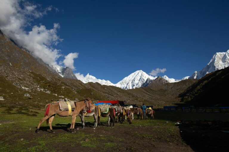 A line of loaded pack horses in a mountainous landscape with snow-covered peaks in the background and a cluster of blue-roofed buildings to the right under a clear blue sky.