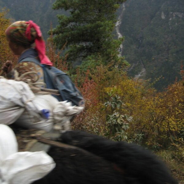 A person with a colorful headscarf is seen from the back, walking along a mountain path with loaded bags, likely carrying supplies. The forested mountain landscape with autumn colors is visible in the background. The image is taken in motion, resulting in some blur.