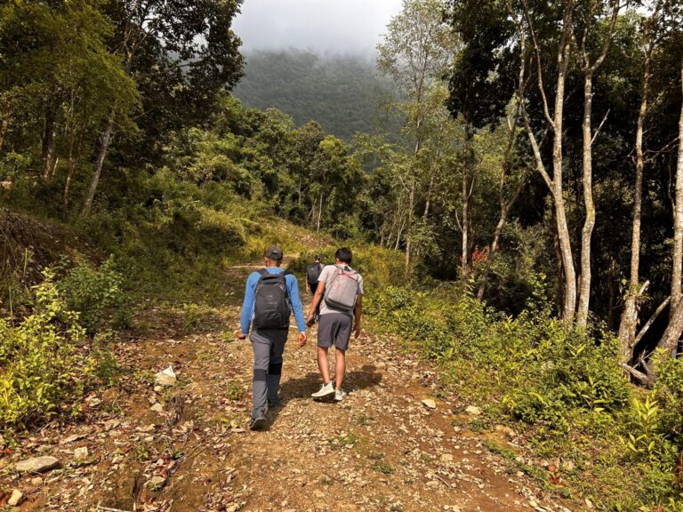 Two hikers with backpacks walking on a forest trail towards misty mountains.
