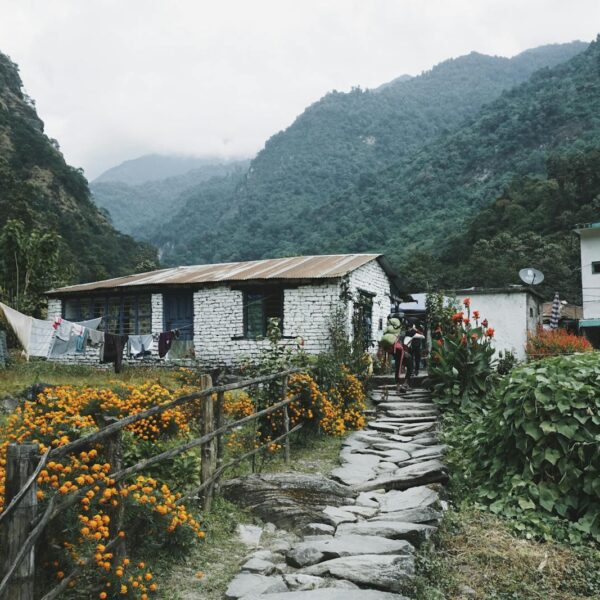 Stone pathway leading to a rural house with white walls and a corrugated tin roof, surrounded by vibrant orange flowers and greenery, with mountains in the background, under a cloudy sky. People can be seen in the distance.
