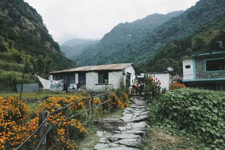Stone pathway leading to a rural house with white walls and a corrugated tin roof, surrounded by vibrant orange flowers and greenery, with mountains in the background, under a cloudy sky. People can be seen in the distance.