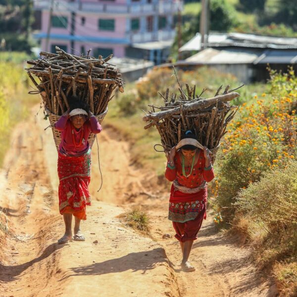 Two individuals wearing traditional attire are carrying large bundles of gathered sticks along a dirt path flanked by vegetation, with buildings in the background.