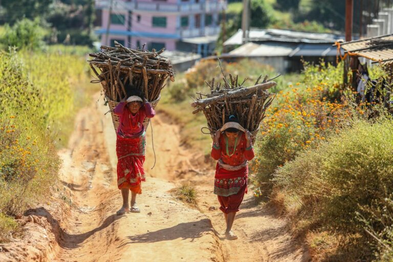 Two individuals wearing traditional attire are carrying large bundles of gathered sticks along a dirt path flanked by vegetation, with buildings in the background.