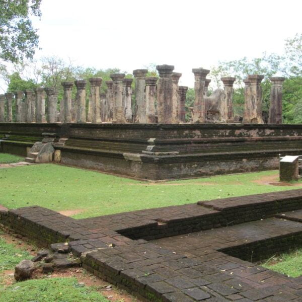 Ancient ruins with rows of stone pillars on a raised platform surrounded by lush greenery, with a dark stone staircase leading up to the structure.