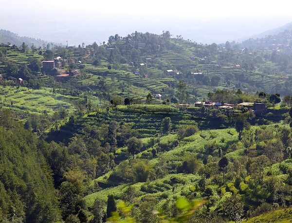 Lush green terraced fields on a hilly landscape with clusters of houses scattered throughout, under a haze-lit sky.