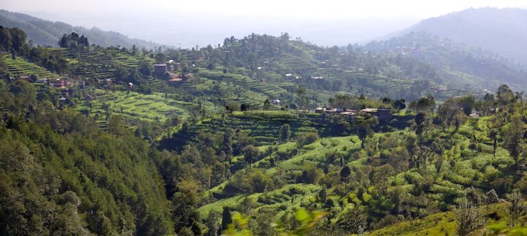 Lush green terraced fields on a hilly landscape with clusters of houses scattered throughout, under a haze-lit sky.