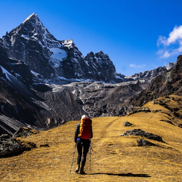 A hiker with a red backpack and trekking poles walks along a golden grassy trail towards snow-capped mountain peaks under a clear blue sky.