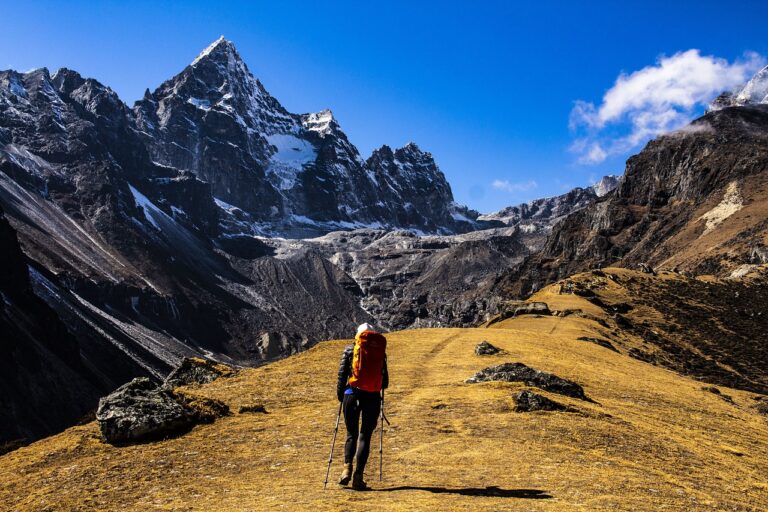 A hiker with a red backpack and trekking poles walks along a golden grassy trail towards snow-capped mountain peaks under a clear blue sky.