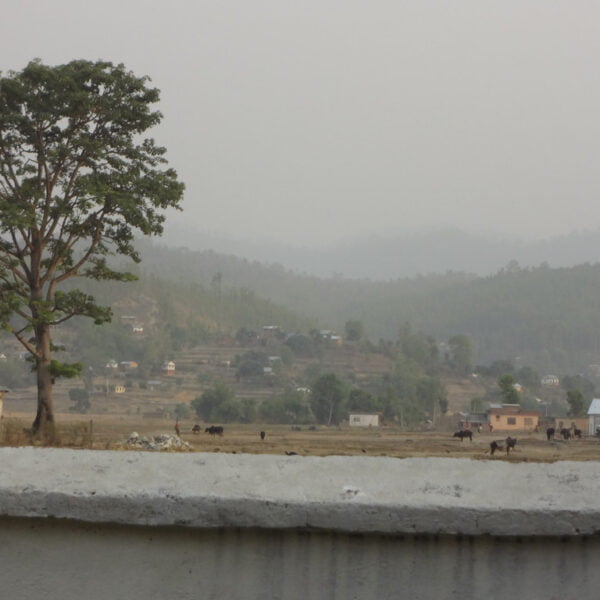 A rural landscape with a large tree in the foreground, several grazing animals in the middle ground, and small houses scattered across rolling hills under a hazy sky. In the very front, part of a concrete wall is visible.