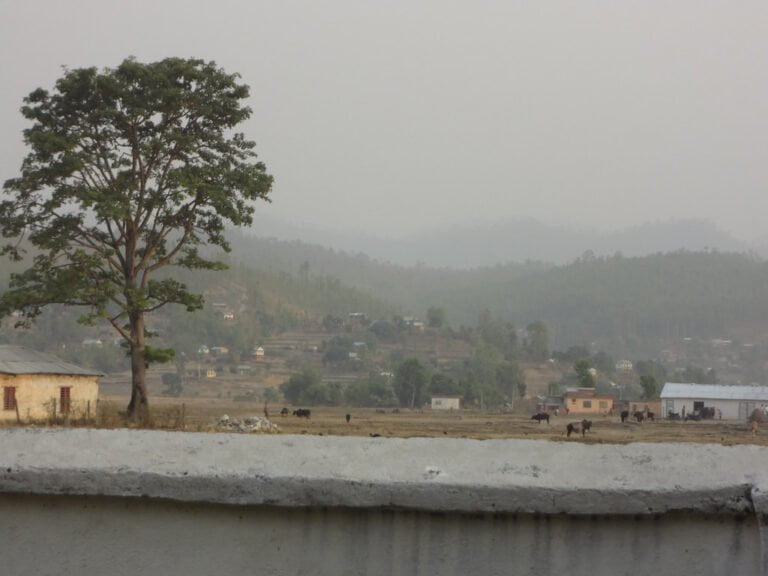 A rural landscape with a large tree in the foreground, several grazing animals in the middle ground, and small houses scattered across rolling hills under a hazy sky. In the very front, part of a concrete wall is visible.