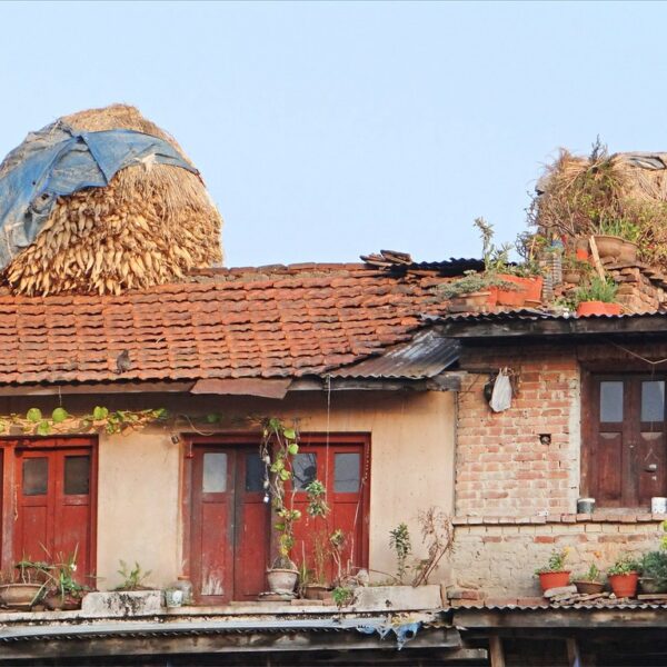 Old brick house with a tiled roof, partially covered by hay stacks, with potted plants on the ledge and a blue tarp on one of the hay stacks.