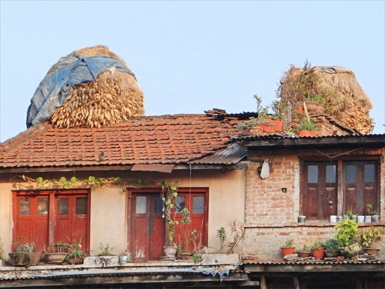 Old brick house with a tiled roof, partially covered by hay stacks, with potted plants on the ledge and a blue tarp on one of the hay stacks.