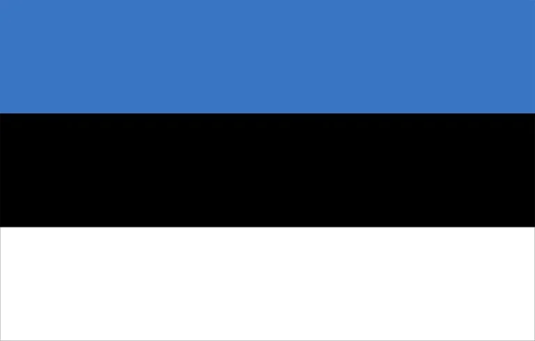 Alt text: Horizontal tricolor flag with top blue, middle black, and bottom white bands.