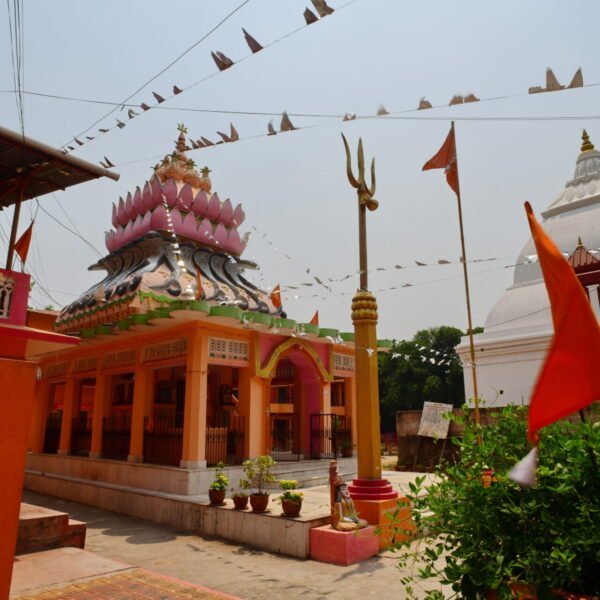 A colorful Hindu temple with a lotus-shaped dome and saffron flags, with birds perched on wires above and a white domed structure in the background under a clear sky.