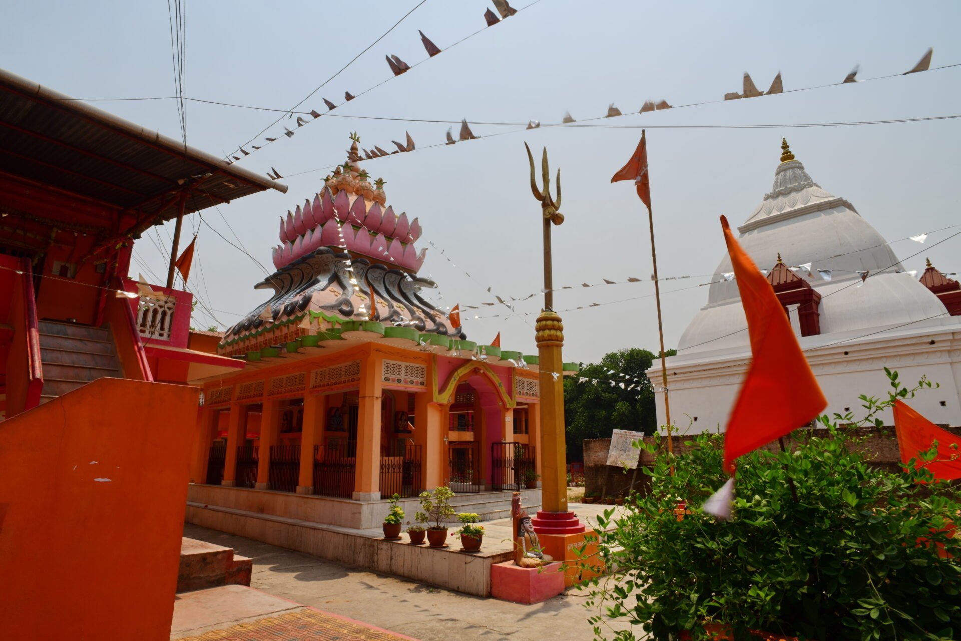 A colorful Hindu temple with a lotus-shaped dome and saffron flags, with birds perched on wires above and a white domed structure in the background under a clear sky.