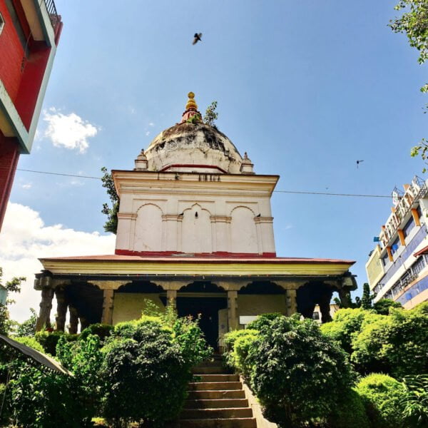Alt text: A white domed temple with a golden spire flanked by greenery and buildings under a bright blue sky with some clouds. A flight of stairs leads up to the temple entrance.