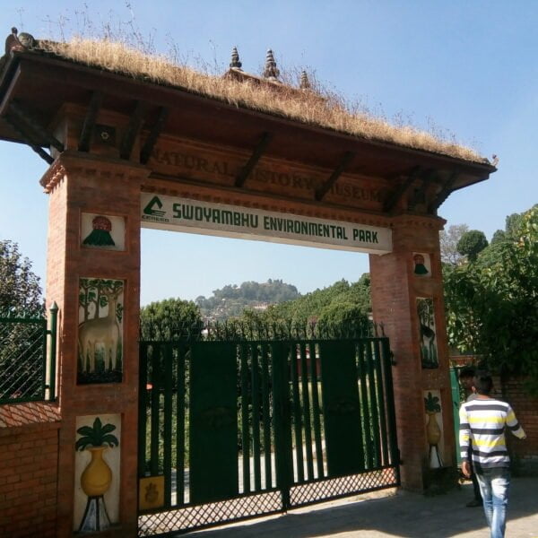 A person walking towards the entrance gate of the Swoyambhu Environmental Park and Natural History Museum, which has a traditional styled gate with a thatched roof and decorative brick pillars featuring nature-inspired artwork.