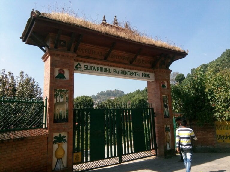 A person walking towards the entrance gate of the Swoyambhu Environmental Park and Natural History Museum, which has a traditional styled gate with a thatched roof and decorative brick pillars featuring nature-inspired artwork.