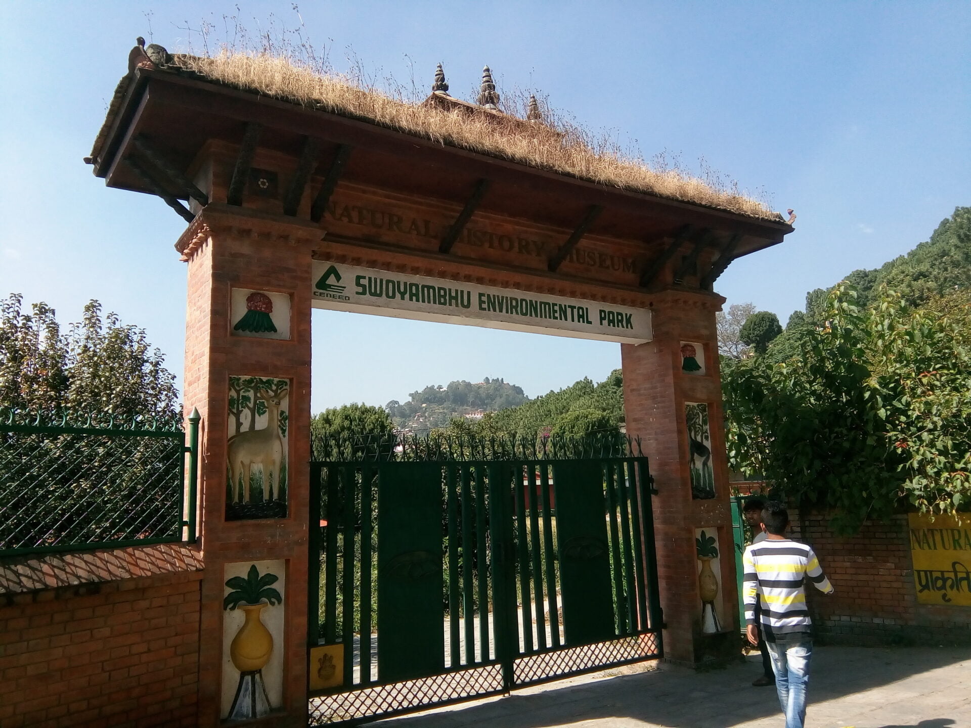 A person walking towards the entrance gate of the Swoyambhu Environmental Park and Natural History Museum, which has a traditional styled gate with a thatched roof and decorative brick pillars featuring nature-inspired artwork.