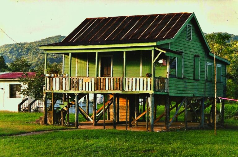 A traditional green wooden stilt house with a front porch and metal roof set against a backdrop of lush greenery and hills.