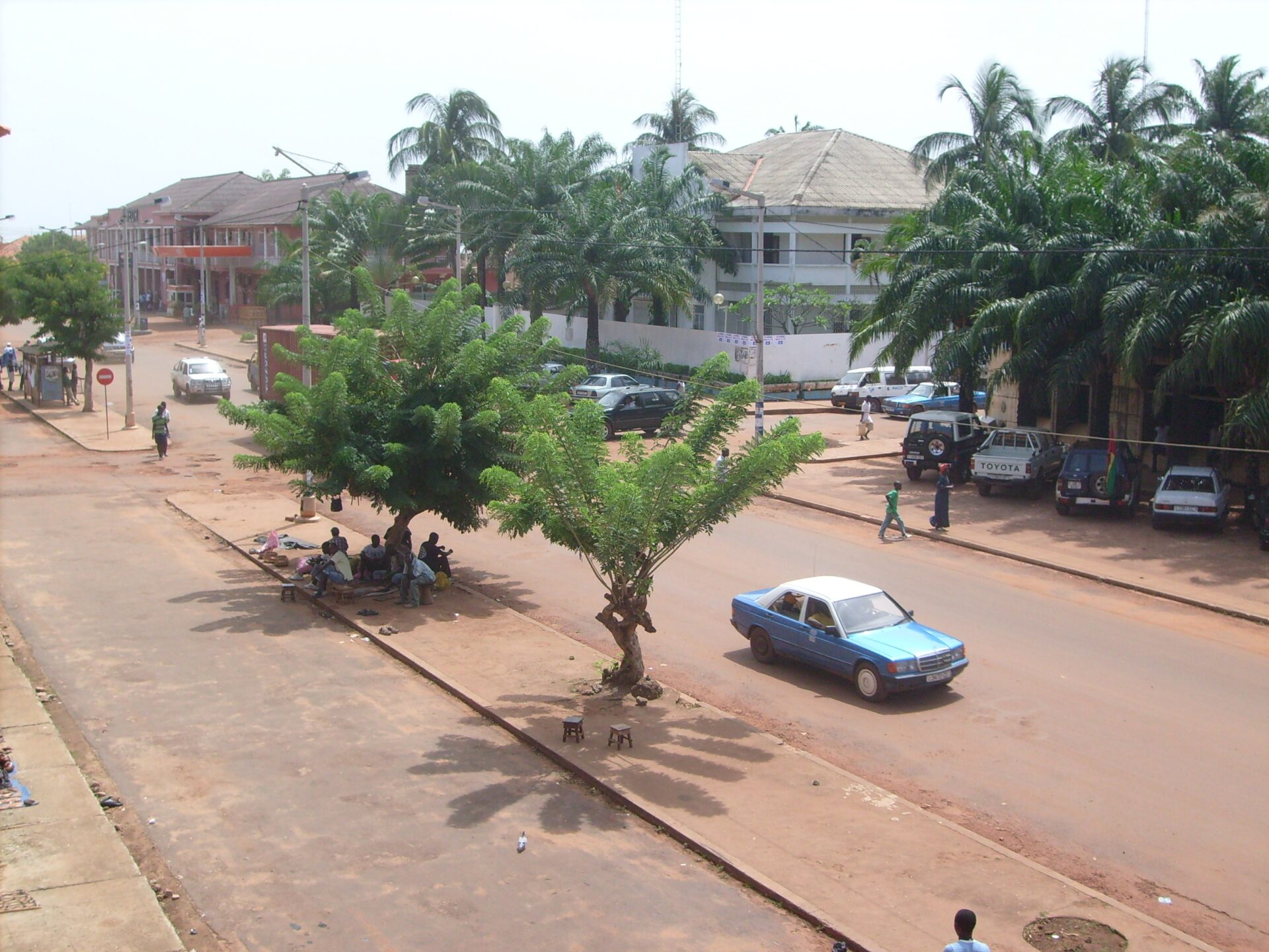 Alt text: A street view in a tropical city, with palm trees and parked cars along the sides, a blue car in the center of the road, and a group of people seated under a tree on the sidewalk.