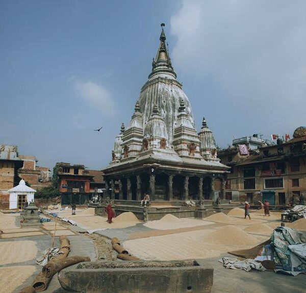 An ancient, weathered temple with a tall, ornate spire surrounded by heaps of grain drying in the sun, with people walking by and traditional buildings in the backdrop under a clear sky.