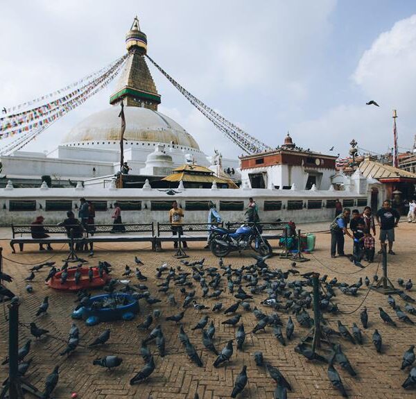 A bustling scene at Boudhanath Stupa in Kathmandu, Nepal, with prayer flags, pigeons congregating on the ground, and people walking and sitting around the perimeter.