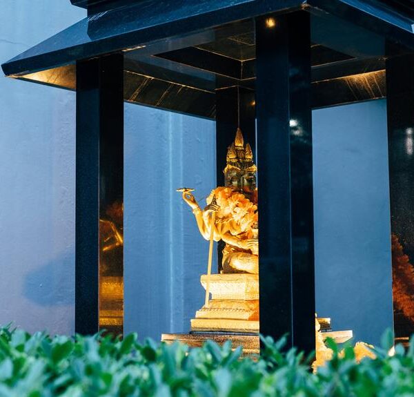 A golden Buddha statue housed in a modern black pavilion with a blue wall background, surrounded by green foliage.