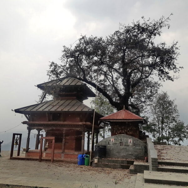 Alt text: A traditional temple with a pagoda-style roof surrounded by trees under a hazy sky. There are a few people nearby and stone steps leading up to the buildings.