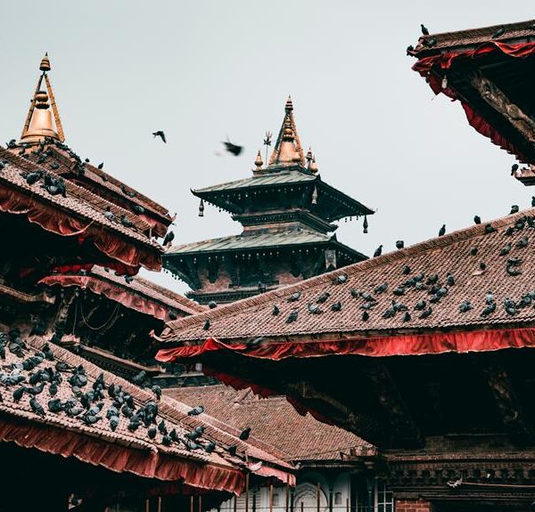 Historic red-roofed temples with ornate wood carvings, and numerous pigeons perched and flying, set against a hazy sky.