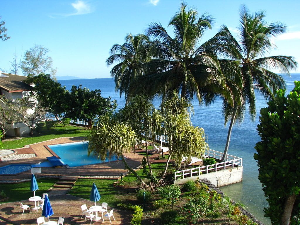 A tropical resort with a swimming pool overlooking the ocean, flanked by palm trees and sun loungers, with a clear blue sky above.