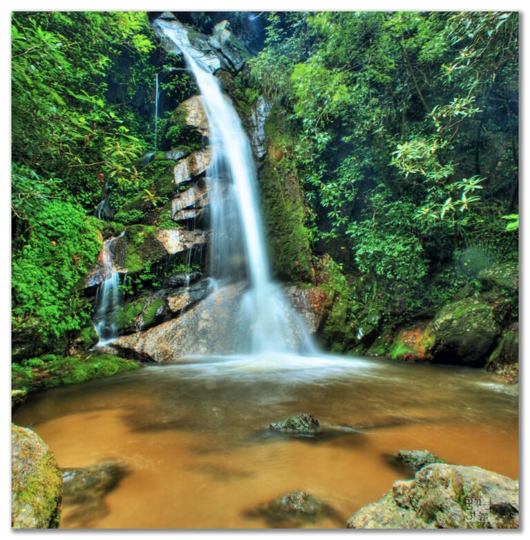 A cascading waterfall surrounded by lush green foliage, with water smoothly flowing down rocky terrain into a serene, muddy pool below.