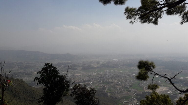 An elevated view over a hazy valley with scattered vegetation and a town partially visible through the mist, framed by pine branches in the foreground.