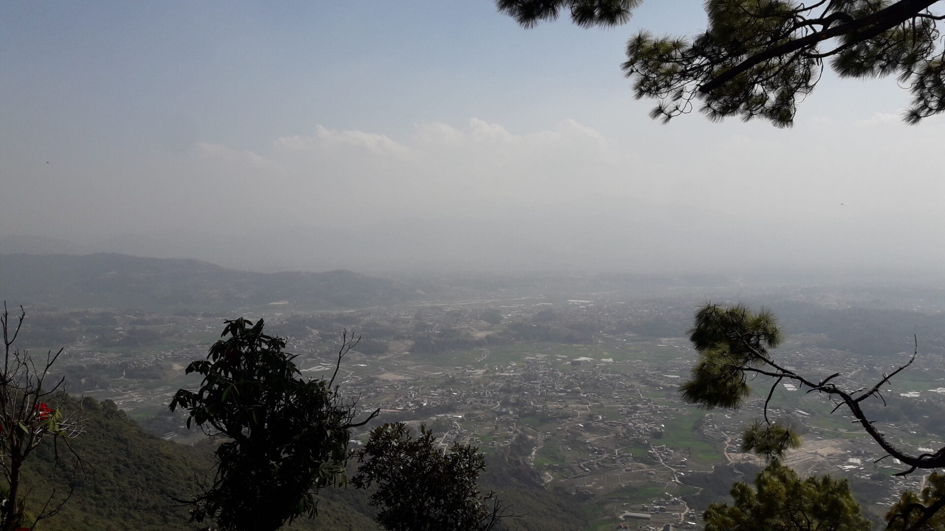 An elevated view over a hazy valley with scattered vegetation and a town partially visible through the mist, framed by pine branches in the foreground.