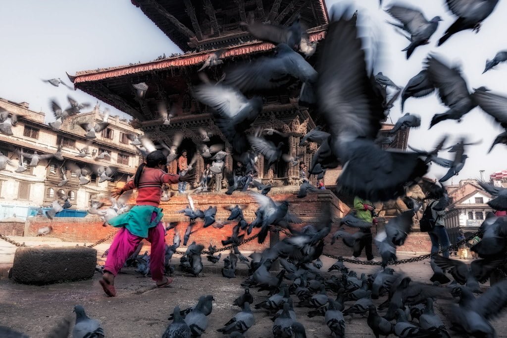 A child in vibrant clothing chases pigeons in a bustling, historic square with ornate temples and traditional architecture in the background.