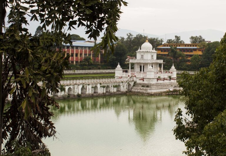 A traditional white structure with a dome and arches surrounded by a balustrade standing in the center of a green-tinted body of water, framed by tree branches, with colorful buildings and greenery in the background.