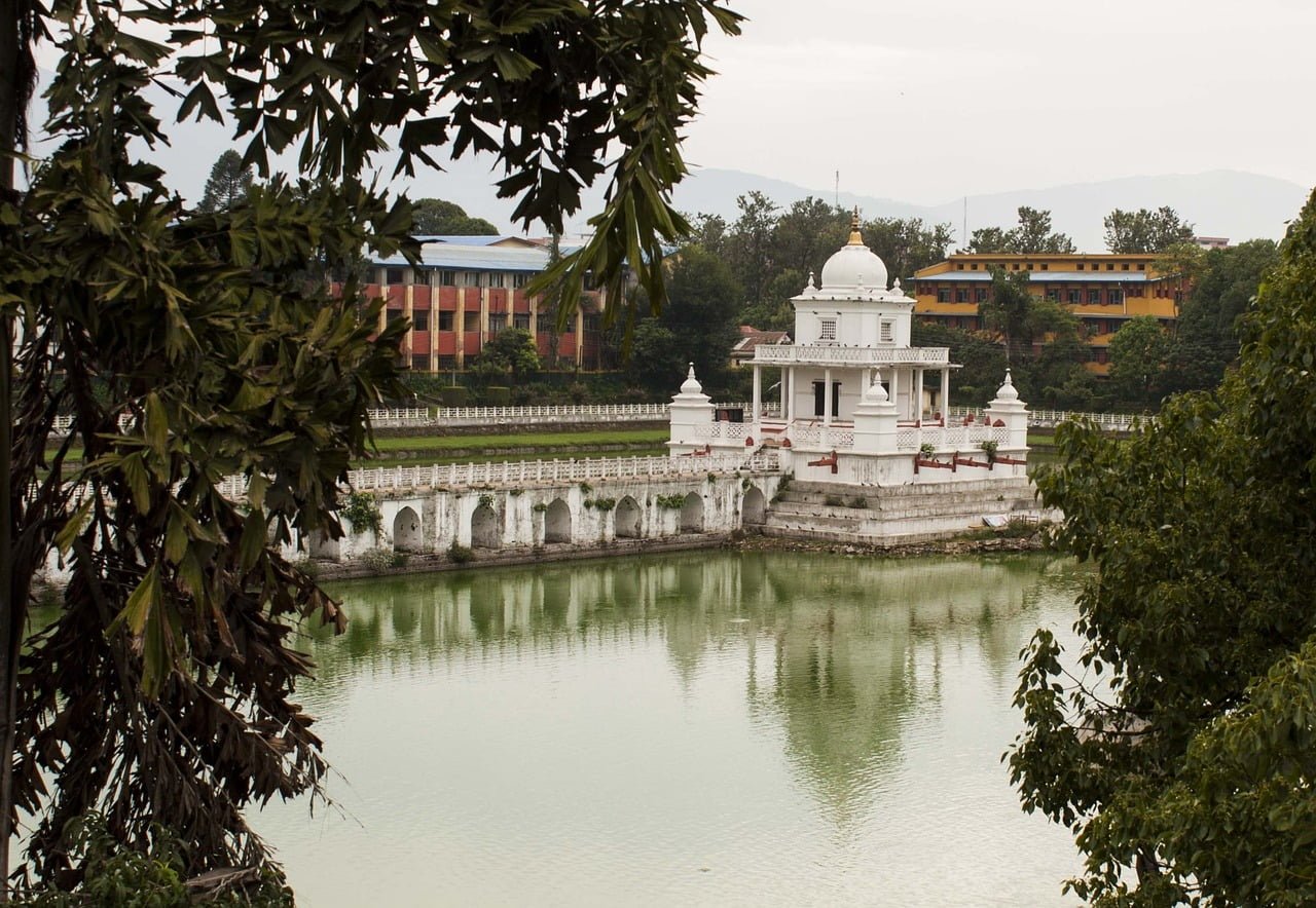 A traditional white structure with a dome and arches surrounded by a balustrade standing in the center of a green-tinted body of water, framed by tree branches, with colorful buildings and greenery in the background.