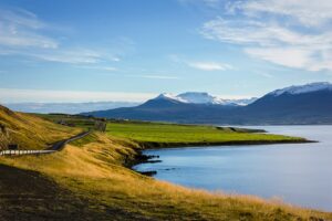 A scenic view of a coastal road winding through a grassy landscape with mountains in the background under a clear blue sky.