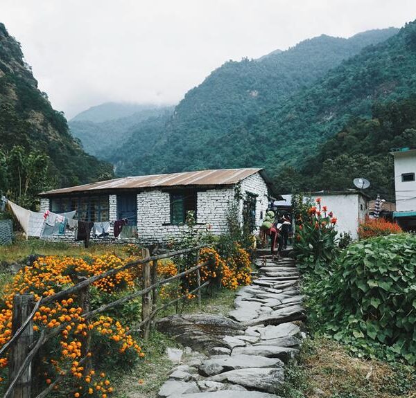 Alt text: A rural mountainous landscape with a stone path leading to a white brick house, surrounded by lush greenery and vibrant orange flowers. There are people in the distance and laundry hanging outside.
