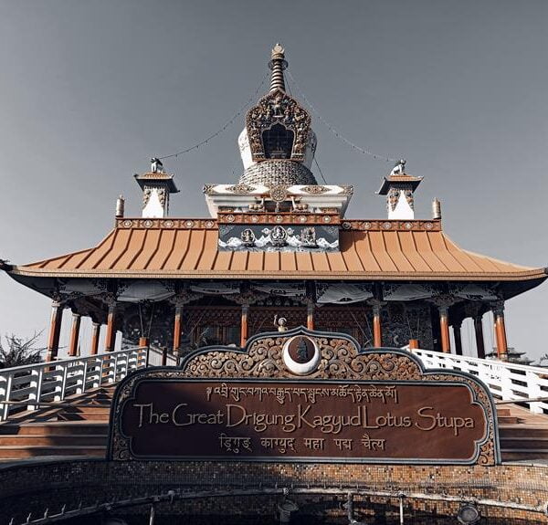 Alt text: The Great Drigung Kagyu Lotus Stupa, a traditional Tibetan Buddhist stupa with ornate decoration and script, under a clear sky.